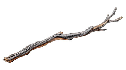 A single gnarled and weathered branch rests isolated against a black backdrop