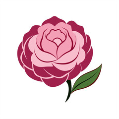 Delicate Peony Flower Drawing Vector on Transparent Background for Web and Graphic Design