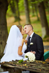A bride and groom kiss in a park