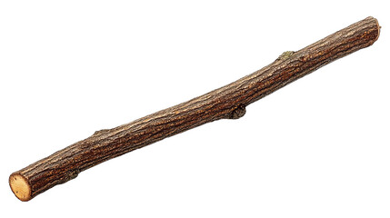A small, brown tree branch isolated on a dark background