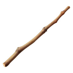 A tan-colored twig with knots, set against a stark black background