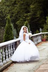 A bride is walking down a bridge wearing a white dress and veil