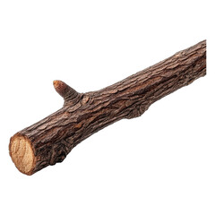 A textured, cut log piece with a smooth end on a black background