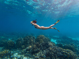 A woman enjoys snorkeling in Thailand, exploring the colorful coral reefs. Bright marine life surrounds her as she glides gracefully through the clear blue water.
