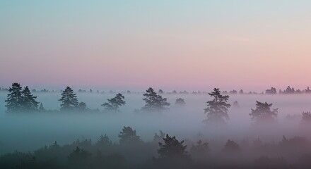 A misty forest landscape with silhouetted trees emerging from a layer of fog, under a soft pink and blue gradient sky.