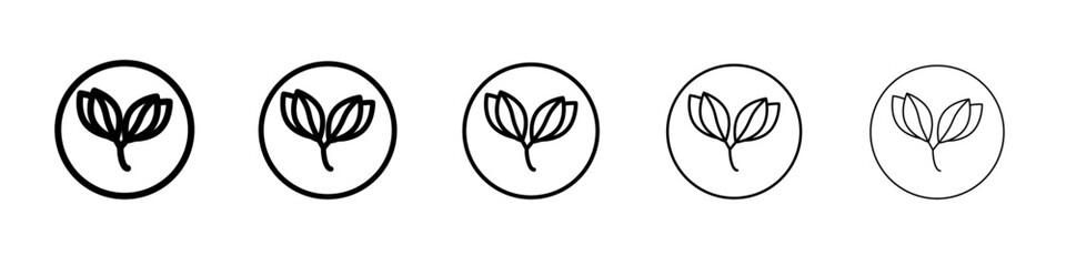 Young sprout icon vector outline symbol or illustration