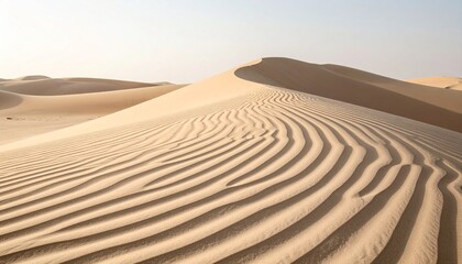 Naklejka premium Rippled Sand Dunes with Concentric Wind Patterns. Close-up of desert dunes with natural ripple patterns in fine sand under soft sunlight. Minimalist and calming earth tone scene.