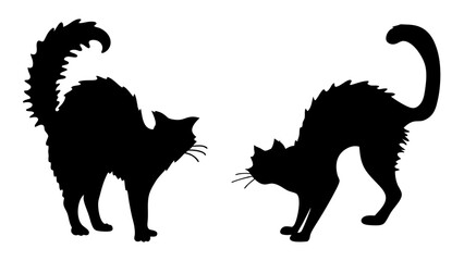 Halloween cat black vector silhouette
