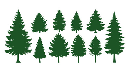 A row of evergreen tree silhouettes in various sizes