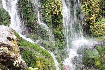 Fototapeta premium Mangawhero falls - Mossy Mountain Splashes
