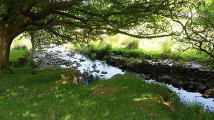 North Wales - Shady Brook