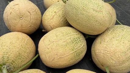 Closeup of fresh cantaloupes with textured skin, freshly harvested and ready for market