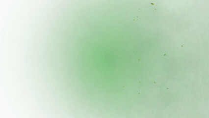 A lush emerald green background with floating golden particles creates an elegant and mysterious mood perfect for atmospheric designs.