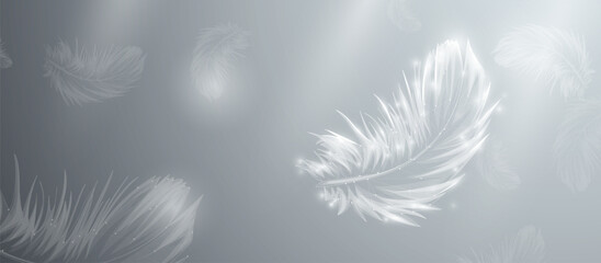 Obraz premium Abstract white bird feathers falling in the air. Low polygonal, wireframe, linear and mesh. Vector illustration