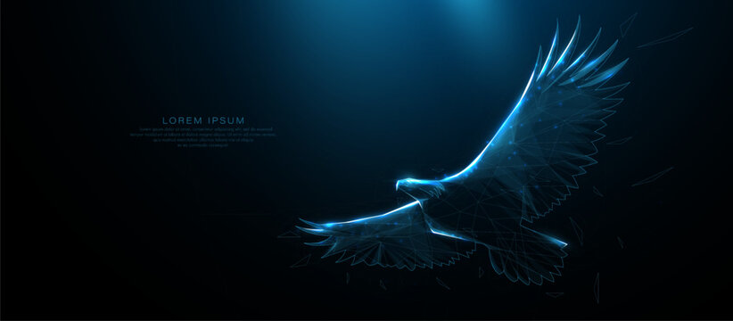 Bald eagle flying. Animal wildlife. Futuristic digital technology. Low polygonal, wireframe, linear and mesh illustration