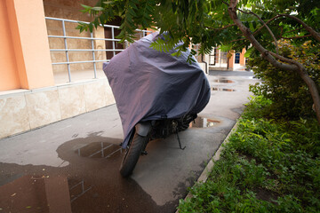 A motorcycle is partially hidden under a cloth, resting beside a wet pavement and green foliage...