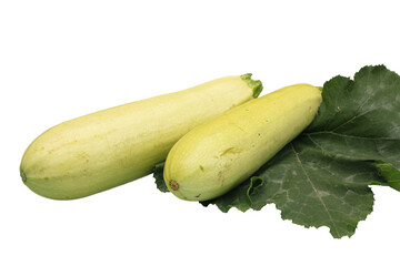Freshly picked zucchini isolated on white background