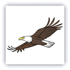 Obraz premium Set of insect illustrations, butterfly, caterpillar, cricket, ant, rhinoceros beetle, stag beetle, ladybug, cockchafer, realistic in 3d style. 