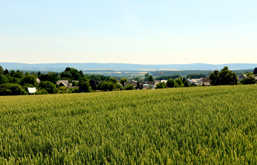 Feld im Sommer im Hunsrück vor dem kleinen Ort Reckershausen in der Verbandsgemeinde Kirchberg im Rhein-Hunsrück-Kreis in Rheinland-Pfalz. Aussicht vom Wanderweg Traumschleifchen Reckershauser Busch.
