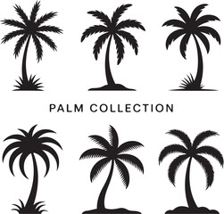 Silhouette Collection of Palm Trees Representing a Tropical Beach Vacation or Desert Oasis Theme with Varied Frond Styles