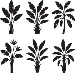 Set of Black Silhouettes of Tropical Plants and Trees Artistic Representations of Exotic Floral Elements for Design and Decoration