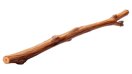 Painted wood stick with knots on black backdrop