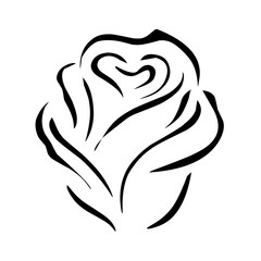 rose flower icon vector