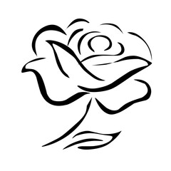 rose flower icon vector