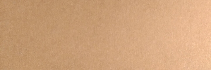 Brown paper texture background. Vector illustration.