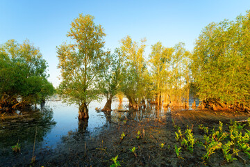 Cow Island nature reserve along the Marne river in Île-de-France Region. Précy-sur-Marne village