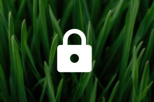 Secure digital identity is represented by a prominent white padlock icon set against a lush green backdrop of vibrant grass texture emphasizing the significance of data protection