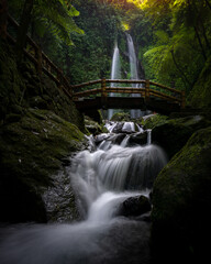 waterfall in the forest