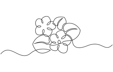 An illustration of a Saintpaulia flowering plant on a white background, African violet in continuous line art drawing style, Saintpaulia flowering plant black linear sketch isolated on white backgroun