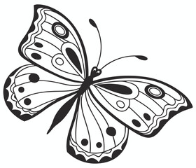Butterfly ink drawing ideal for tattoos, prints or crafts