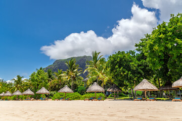 Idyllic tropical beach with thatched umbrellas and sun loungers at a luxury resort in Mauritius, with Le Morne mountain in the background.Luxury travel destination