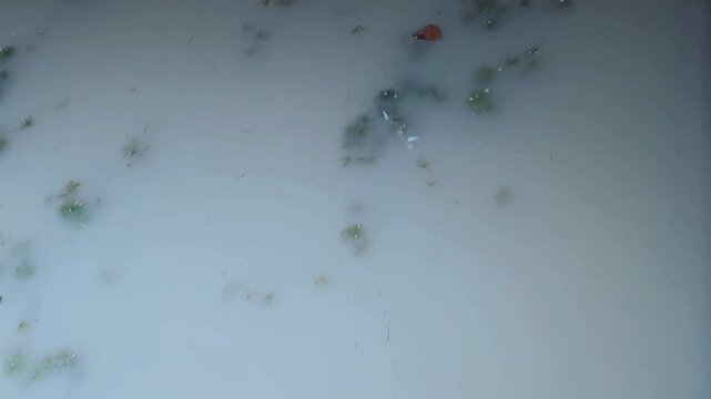 slurries flowing in the dirty