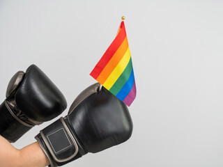 Rainbow flag in boxing gloves. 