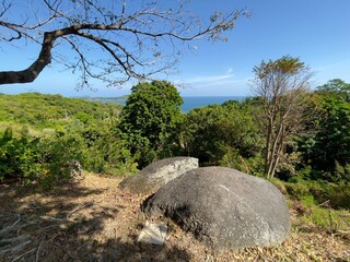 tree in the mountains with sea view, Rawai Phuket Thailand