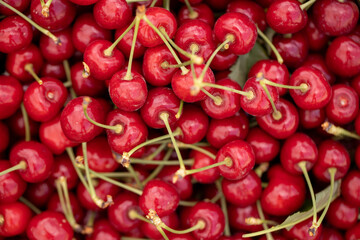 Close up of tasty natural cherries
