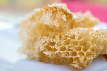 close up of natural honeycomb