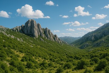 Obraz premium Bojinac Peak adjacent to Paklenica Gorge within a protected natural area in Europe