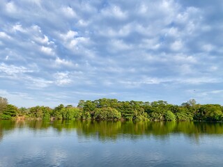 summer landscape with lake