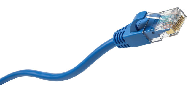 Blue RJ45 Ethernet cable with connector isolated PNG with Transparent Background