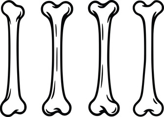 Bone vector hand drawn illustration line art.