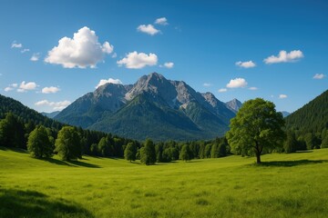 Scenic mountain scene featuring lush meadows and a clear blue sky