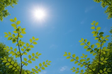Obraz premium Tree branches against a bright blue sky with sunlight shining through