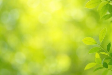 Vivid bokeh backdrop featuring lush green leaves, abstract soft-focus foliage, and warm summer sunlight with room for text