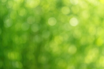 Fototapeta premium Soft-focus urban greenery with vibrant leaf patterns and natural bokeh