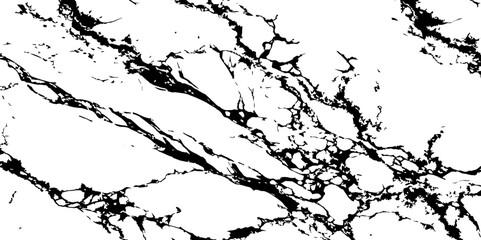 Fototapeta premium Generate a high-resolution, realistic image of a white marble slab with intricate black veining. Focus on capturing the natural flow and organic patterns of the veins.