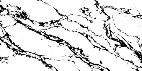 Fototapeta premium Generate a high-resolution, realistic image of a white marble slab with intricate black veining. Focus on capturing the natural flow and organic patterns of the veins.